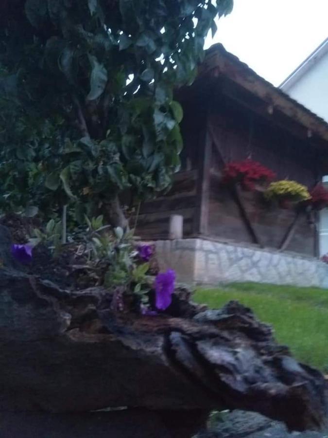 Djurdja Apartment Aranđelovac Exterior foto